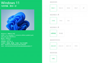 windows官方全版本系统，ISO镜像文件-阿福资源